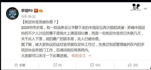 李璇爆料裁判是谁啊视频,揭秘“谁”成为焦点裁判之谜  第3张